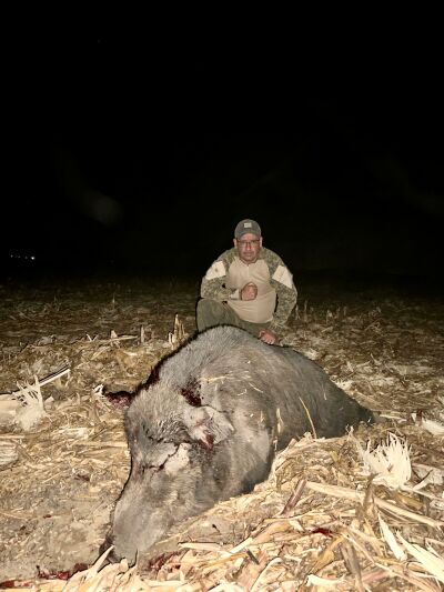 Imagem da notícia Caçador de Costa Rica abate javali de 300 kg e 2,20 m, o maior já visto na região